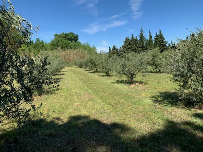 Vila Le Mazet Des Joncs En Provence Saint-Pierre-de-Vassols Exteriér fotografie